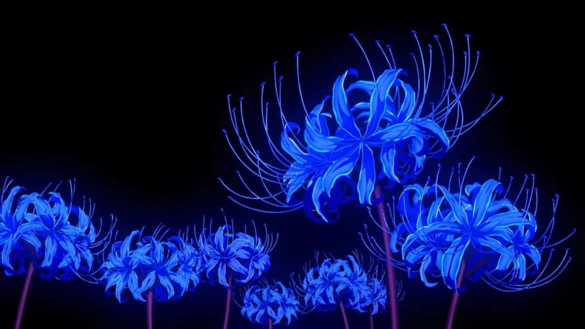 what is the blue spider lily in demon slayer